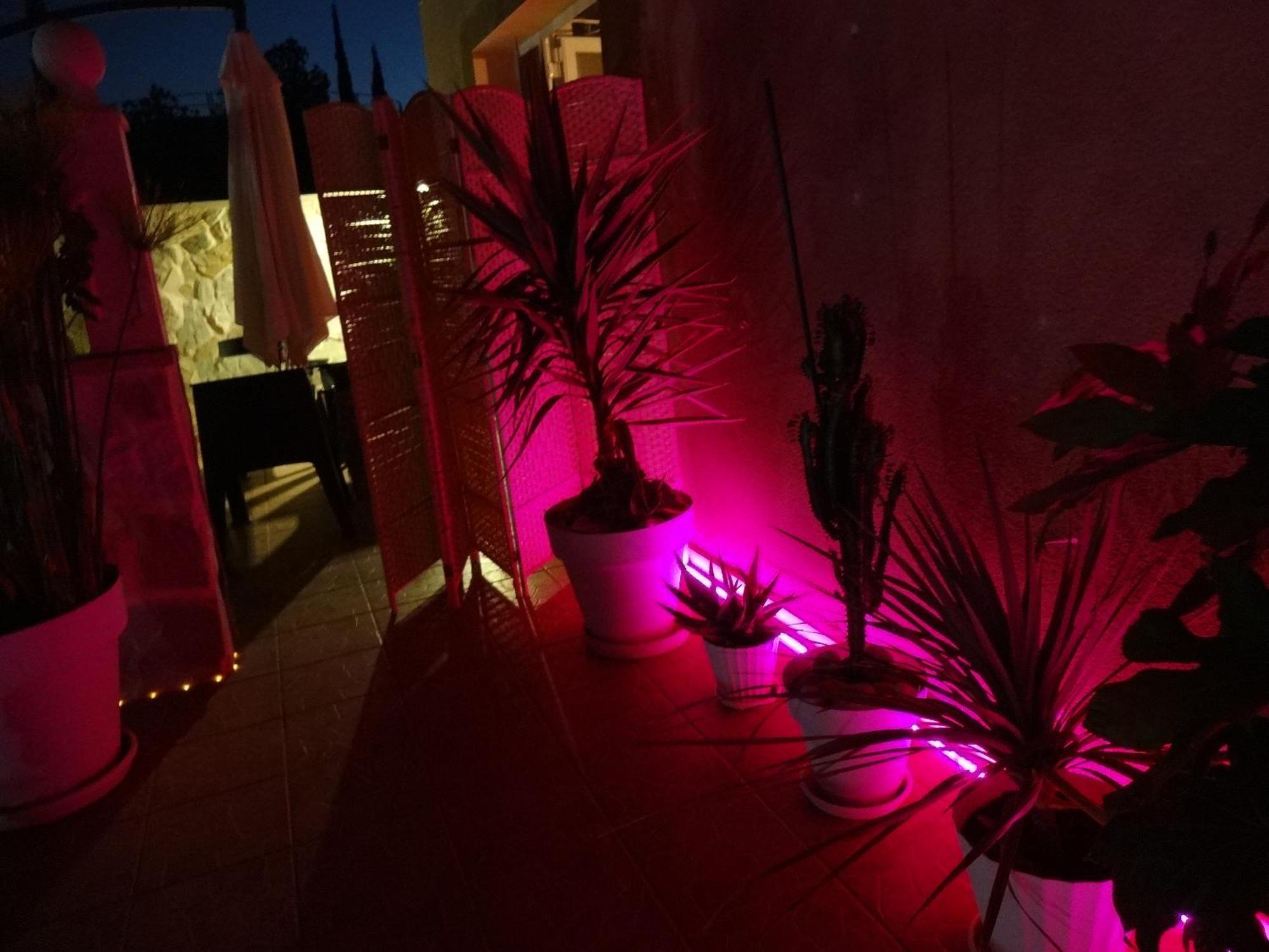 Las Palomas, Appartement 2 Chambres Avec Piscine Turís Exteriör bild